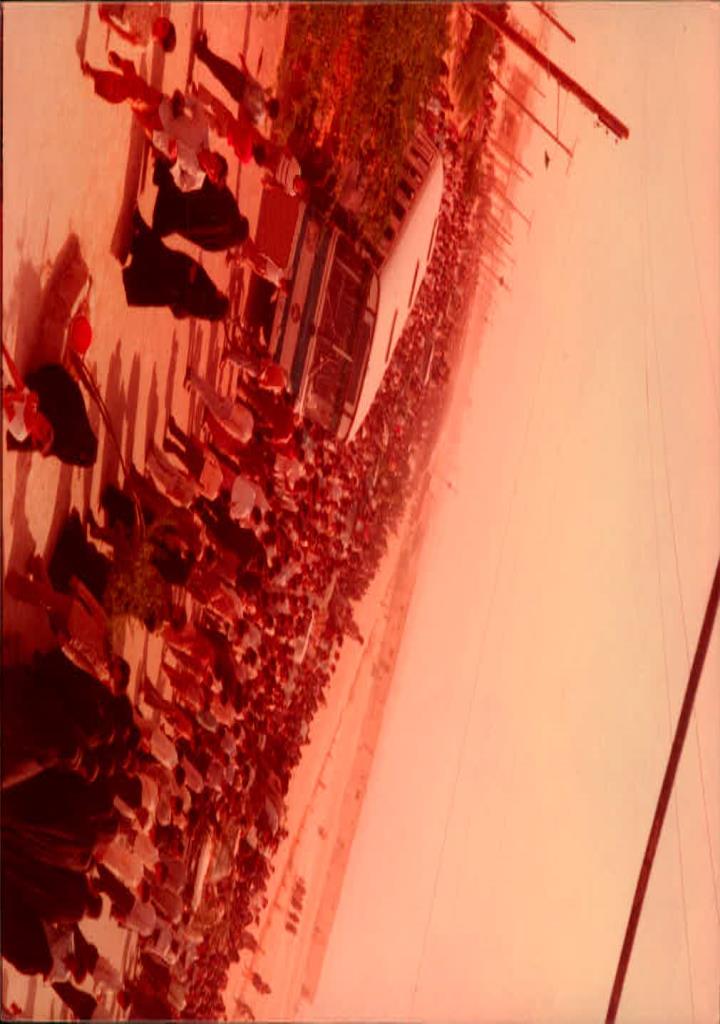 فاقد تصویر